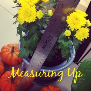Day7MeasuringUp